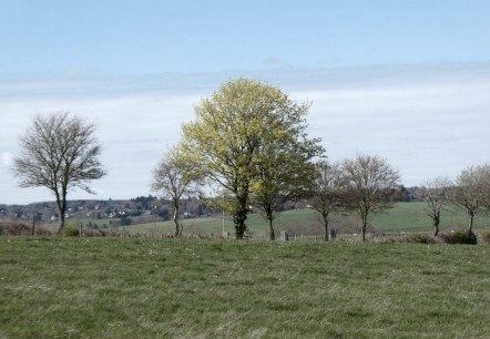 Aussicht aufs Feld, &copy; Guido Hendle