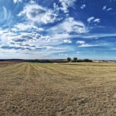 Ausblick vom "Nievesknipp", &copy; Rureifel-Tourismus e.V.