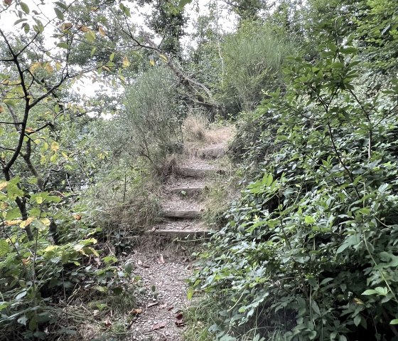 IMG_2612, &copy; Rureifel-Tourismus e.V., Michelle Wiesen