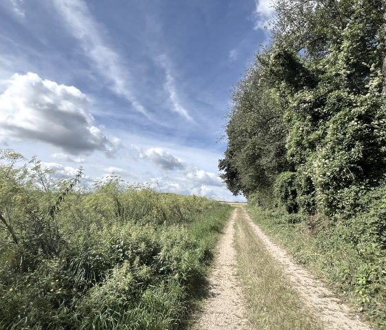 Entlang der Tour, &copy; Rureifel-Tourismus e.V., Michelle Wiesen