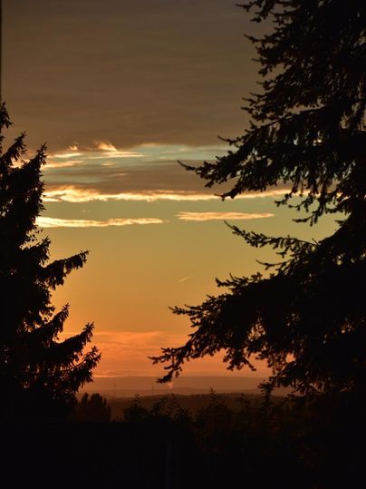 Ein schöner Sonnenuntergang hinter Bäumen. Der Himmel ist in warmen Farben erleuchtet.