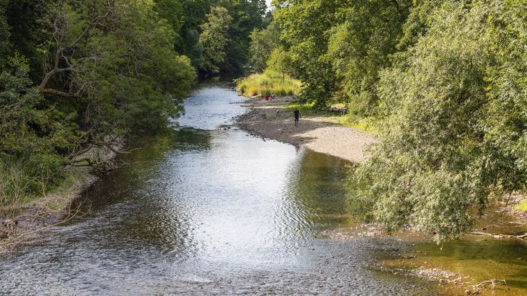 Ein ruhiger Fluss, umgeben von grünen Bäumen. Auf dem Ufer steht eine Person.
