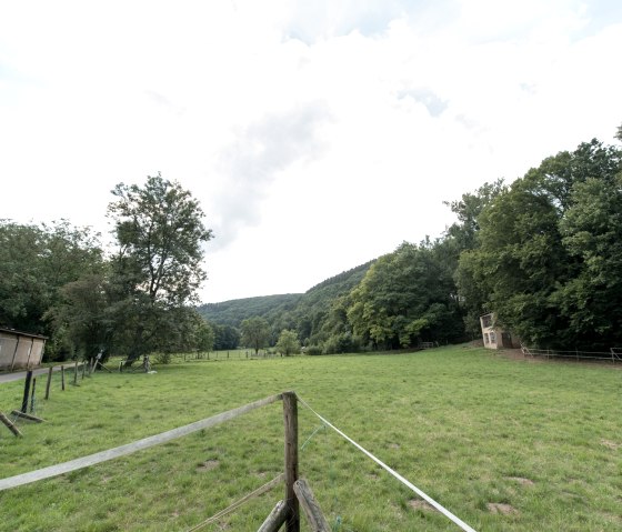 Dans la vallée de la Kall, © some.oner