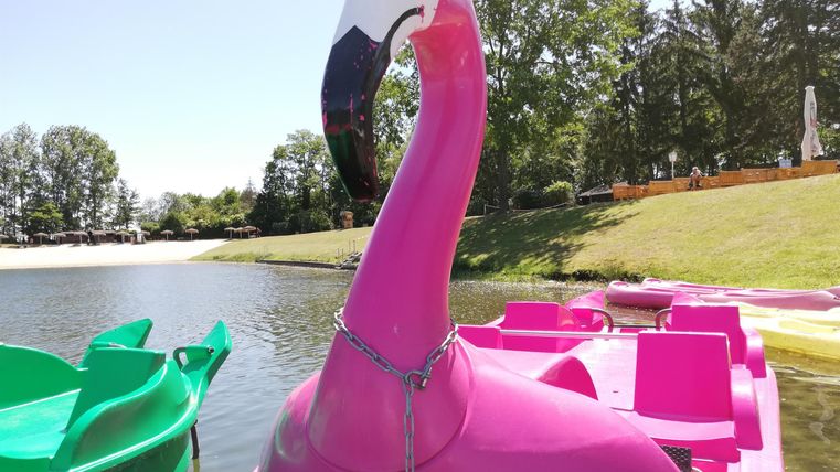 Ein pinker Flamingo-Pedalboot steht am Ufer eines Sees. Im Hintergrund sind grüne Bäume und andere farbige Boote zu sehen.