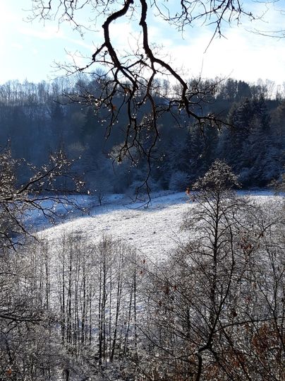 Eine verschneite Landschaft mit schneebedeckten Feldern und Bäumen. Der Himmel ist klar und blau, was einen schönen Kontrast zur weißen Winterlandschaft bietet.