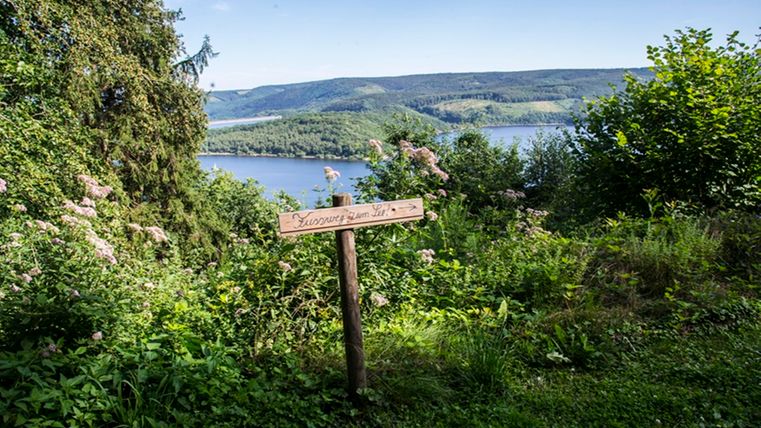Eine malerische Aussicht auf einen See, umgeben von grünen Bäumen. Ein Holzschild weist auf einen Wanderweg hin.