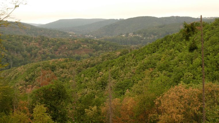 Eine malerische Landschaft mit sanften Hügeln und üppigem Grün. Im Hintergrund sind weitere Hügel und ein bewölkter Himmel zu sehen.