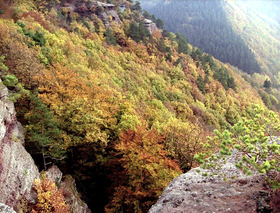 Impressions d'automne