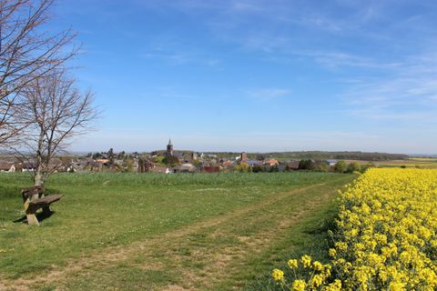 Eine ruhige Landschaft mit einem blühenden Feld und einem kleinen Dorf im Hintergrund. Der Himmel ist blau und klar.