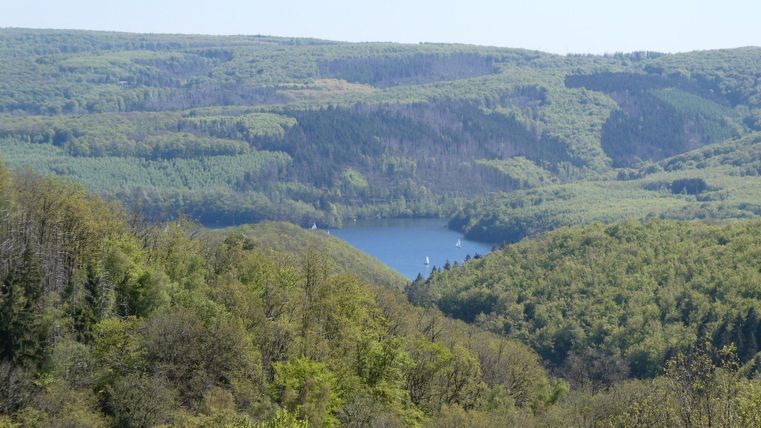 Eine malerische Landschaft mit sanften Hügeln und dichtem Wald. Im Hintergrund ist ein glitzernder See zu sehen, umgeben von grüner Natur.