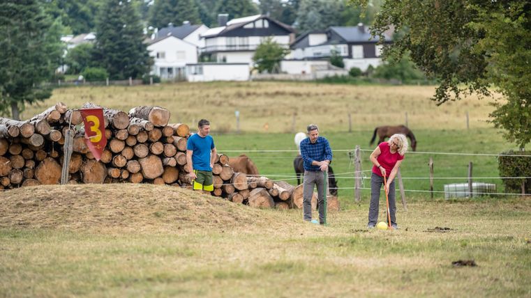 Eine Gruppe von Menschen spielt auf einer Wiese in der Nähe von Holzscheiten. Im Hintergrund sind Häuser und eine grüne Landschaft zu sehen.