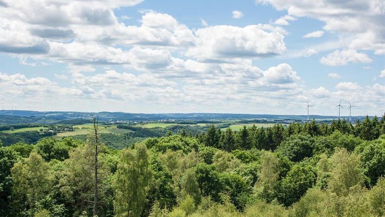 Eine weite Landschaft mit grünen Wäldern und sanften Hügeln. Im Hintergrund sind Windräder und eine helle Wolkenformation zu sehen.