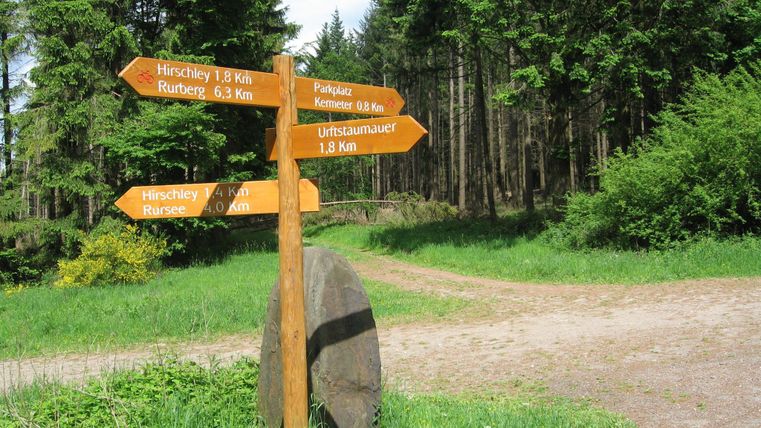 Ein Wegweiser im Wald an einem Kreuzungspunkt. Er zeigt Richtungen und Entfernungen zu verschiedenen Zielen an.