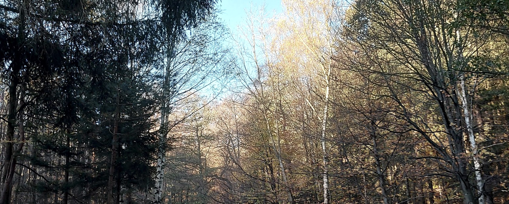 Novemberstimmung (co) Thei&szlig;en-Braun