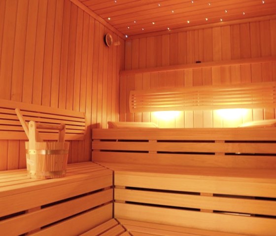 Sauna mit Sternenhimmel, &copy; Rotes Einhorn