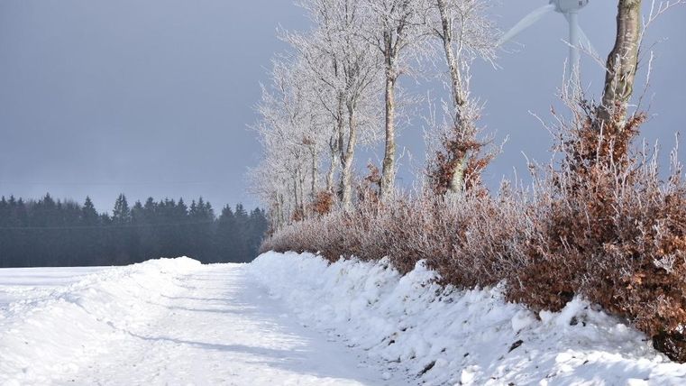 Ein schneebedeckter Weg führt durch eine winterliche Landschaft. Im Hintergrund sind Bäume und ein Windrad zu sehen.