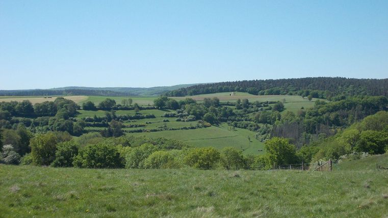 Eine weite Landschaft mit sanften grünen Hügeln und Bäumen. Der Himmel ist klar und blau.