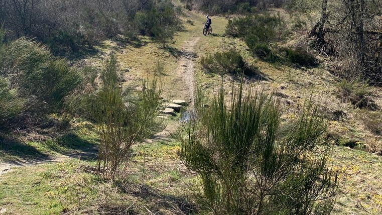 Ein sonniger Hügelweg umgeben von Büschen und Gras. Im Hintergrund ist eine Person zu sehen, die den Pfad hinaufgeht.