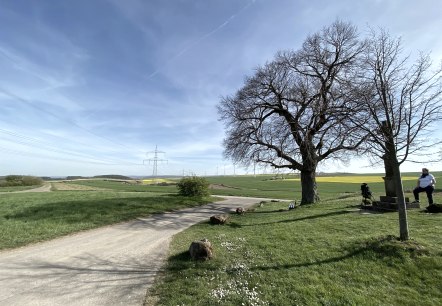 Blick vom Vlattener B&ouml;rdeblick, &copy; Rureifel-Tourismus e.V.