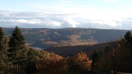 Seeblick im Herbst, © seeblick-eifel.de