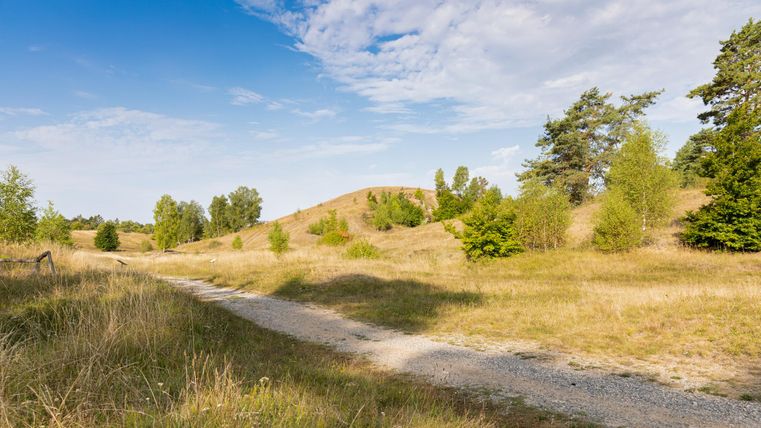 Eine weite, friedliche Landschaft mit sanften Hügeln und einem Schotterweg. Vereinzelt stehen Bäume und die Wolken sind am blauen Himmel sichtbar.