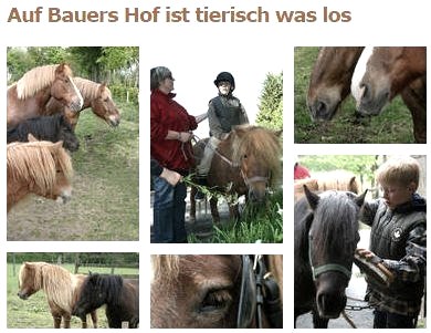 Tierisch was los, &copy; Ferienhof Bauer