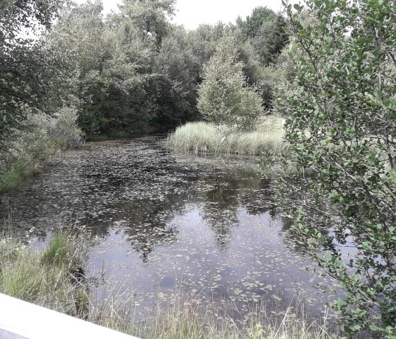 Palsen bei M&uuml;tzenich