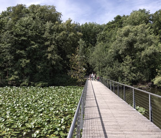 Familie im Br&uuml;ckenkopf-Park, &copy; Tobias Vollmer | Eifel Tourismus GmbH