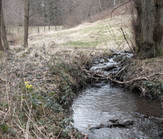 Weidenbachtal, &copy; Eifel heimisch