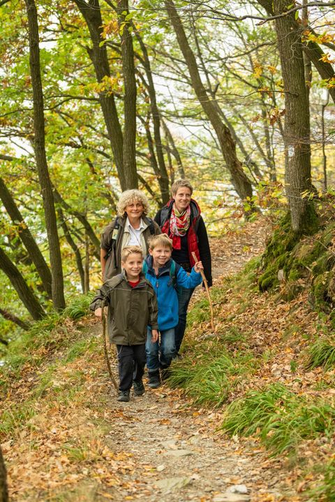 Eine Familie wandert auf einem Pfad im Wald. Die bunten Blätter im Herbst schaffen eine schöne Atmosphäre.