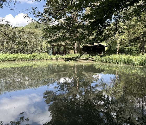 Nationalpark-Randweg Nr. 20, &copy; Rureifel-Tourismus e.V., Dennis Winands
