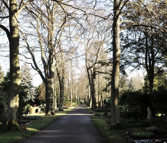 Hauptfriedhof2, © Barbara Simons-Buttlar