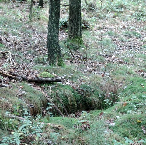 Ancienne tranch&eacute;e au bord du chemin, &copy; Bert van London