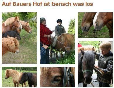 Ein Bauernhof mit zahlreichen Ponys und Kindern, die mit ihnen interagieren. Die Tiere stehen in einer grünen Umgebung und es gibt Aktivitäten wie Reiten und Füttern.