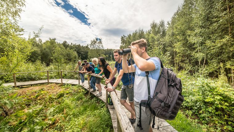 Wandern im Todtenbruch in der Rureifel