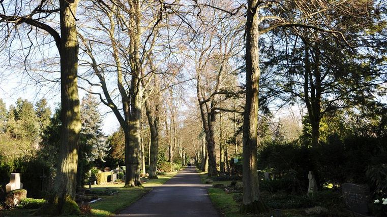 Ein ruhiger Weg in einem Garten mit hohen Bäumen und gepflegten Gräbern. Die Landschaft wirkt friedlich und einladend.
