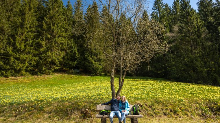 Zwei Personen sitzen auf einer Bank unter einem Baum, umgeben von einer blühenden Wiese. Im Hintergrund sind hohe Bäume und ein klarer Himmel zu sehen.