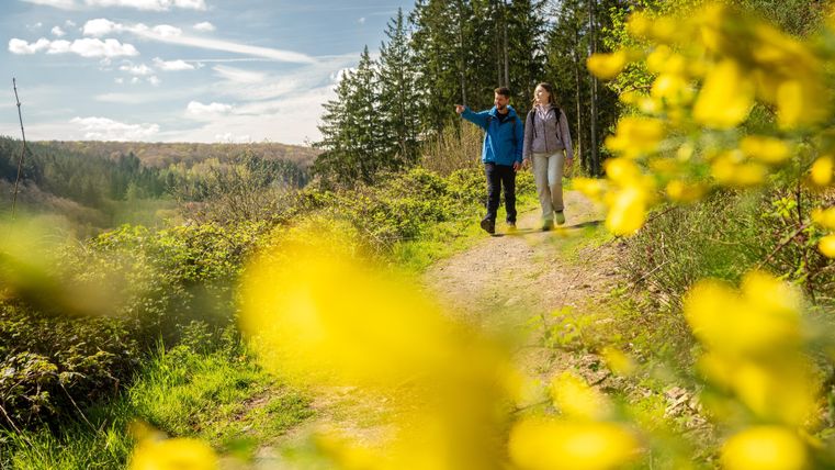 Zwei Personen wandern auf einem malerischen Weg umgeben von grünen Bäumen und gelben Blumen. Die Sonne scheint und der Himmel ist blau mit einigen Wolken.
