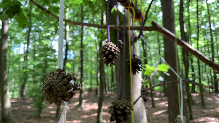 Eine Waldszene mit auf einem Baum hängenden Tannenzapfen, die mit bunten Schnüren verbunden sind. Die Umgebung ist grün und sonnig, mit vielen Bäumen im Hintergrund.