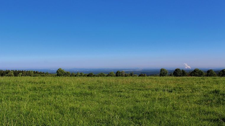 Eine grüne Wiese unter einem klaren, blauen Himmel. Im Hintergrund ist das Meer zu sehen.