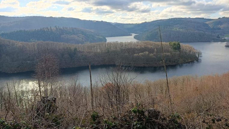 Ein schöner Blick auf einen Fluss, umgeben von Bergen und Bäumen. Der Himmel ist teilweise bewölkt und spiegelt sich im Wasser.