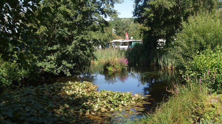 Ein ruhiger Teich, umgeben von üppigem Grün und Bäumen. Im Hintergrund sieht man ein Gebäude und blühende Pflanzen.
