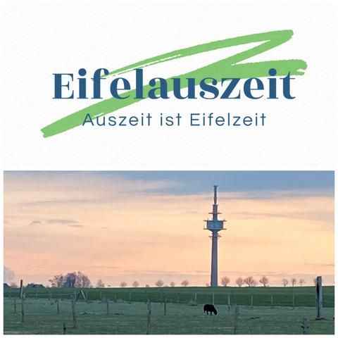 Ein schöner Ausblick auf einen Fernsehturm in der Eifel bei Sonnenuntergang. Eine Kuh steht friedlich auf der Wiese.