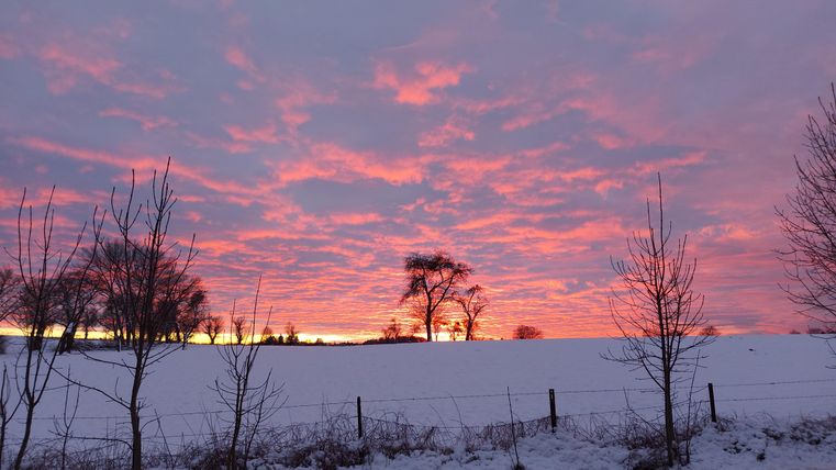 Ein winterlicher Sonnenuntergang mit leuchtenden roten und lila Farben. Silhouetten von Bäumen heben sich vor dem bunten Himmel ab.