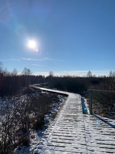 Ein sonniger Weg aus Holz führt durch eine verschneite Landschaft. Der klare blaue Himmel und die strahlende Sonne schaffen eine friedliche Atmosphäre.