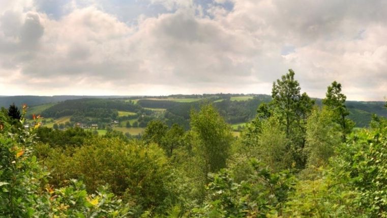 Eine malerische Landschaft mit grünen Bäumen und sanften Hügeln. Der Himmel ist bewölkt, was eine ruhige Atmosphäre schafft.