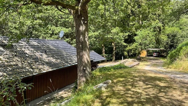 Ein ruhiger Waldweg mit einer Holzhütte und viel grünem Laub. Die Umgebung ist friedlich und einladend.