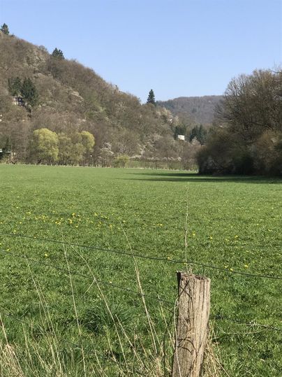 Eine grüne Wiese umgeben von sanften Hügeln. Im Hintergrund sind Bäume und ein blauer Himmel sichtbar.