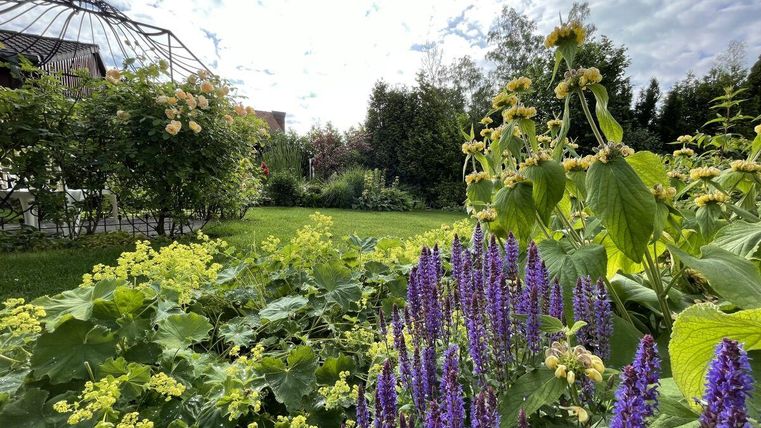 Ein schöner Garten mit bunten Blumen und viel grünem Pflanzenwachstum. Über dem Garten steht ein hoher, metallschmiedeeisener Pavillon.