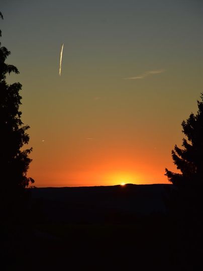 Ein wunderschöner Sonnenuntergang mit orangefarbenem Himmel und einer kontrastreichen Silhouette von Bäumen. Ein Flugzeug zieht eine Spur am Himmel.